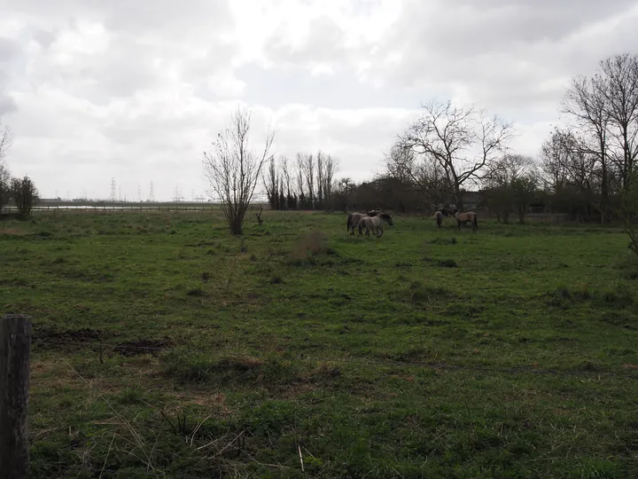 Doel, Beveren (Belgium)